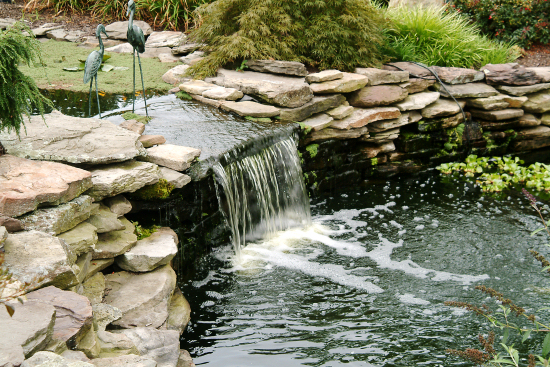 Small pond with a short waterfall
